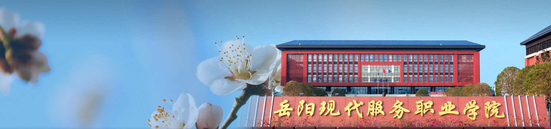 科研动态
